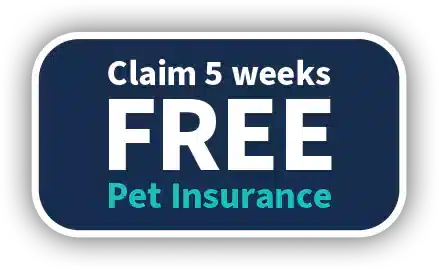 5-Weeks-Free_Button-02
