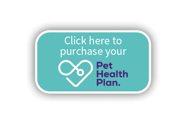 PHP-Purchase_Button-01
