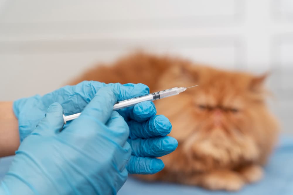 Pet Vaccinations