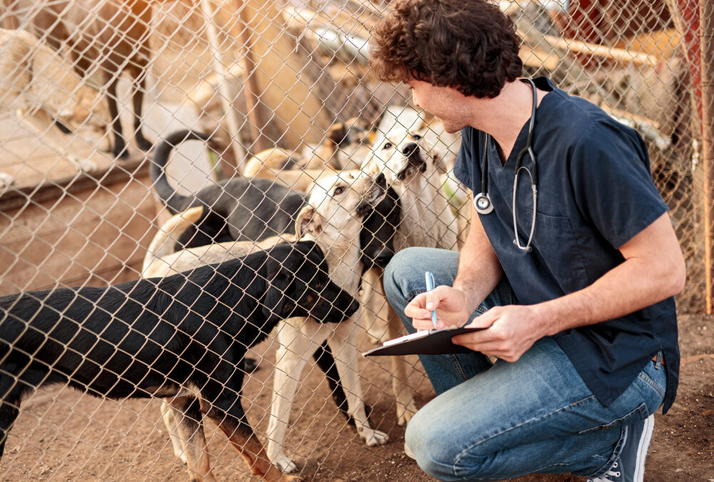 Breed-Specific Conditions