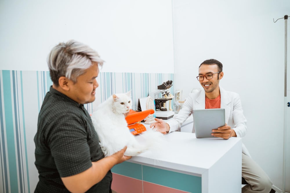 Can Vets Help Plan My Pet's Diet