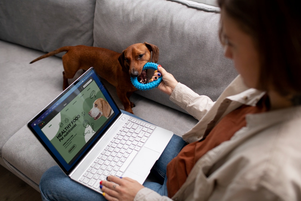 How to Update or Register Pet Microchip Details