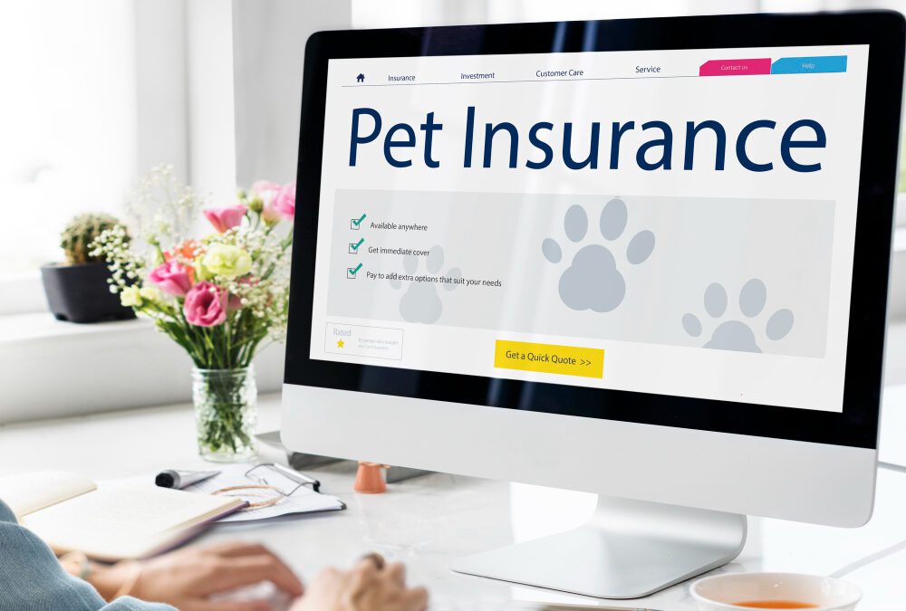 Pet Insurance & Vet Costs in the UK: Plans, Pricing & Claim Support