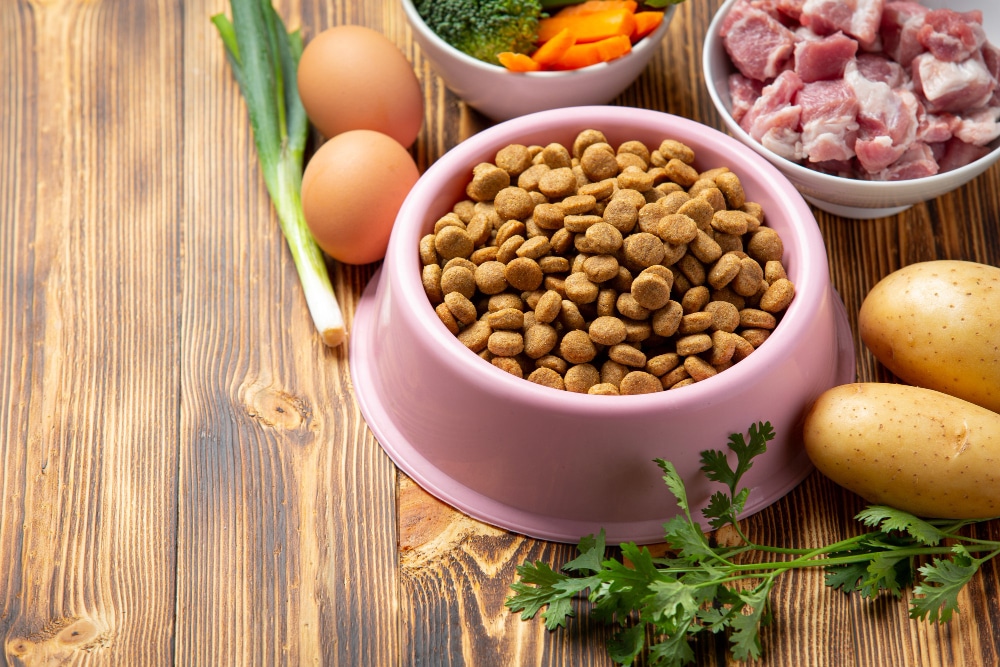 Pet Nutrition & Diet in the UK