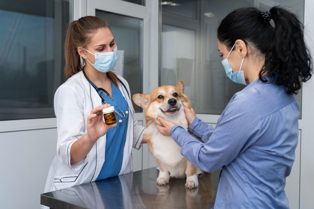 What Preventive Medications Should I Use