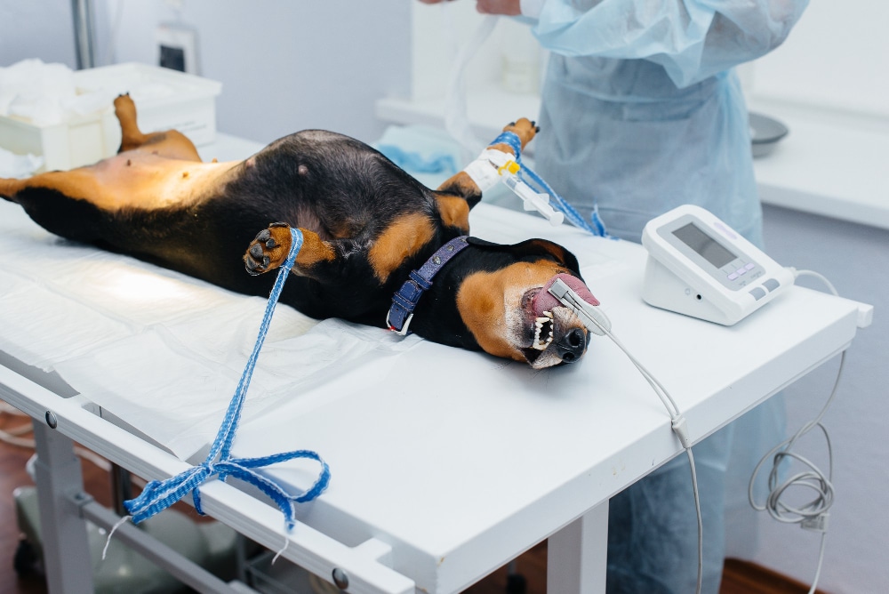 What Types of Surgery Are Performed in Emergencies