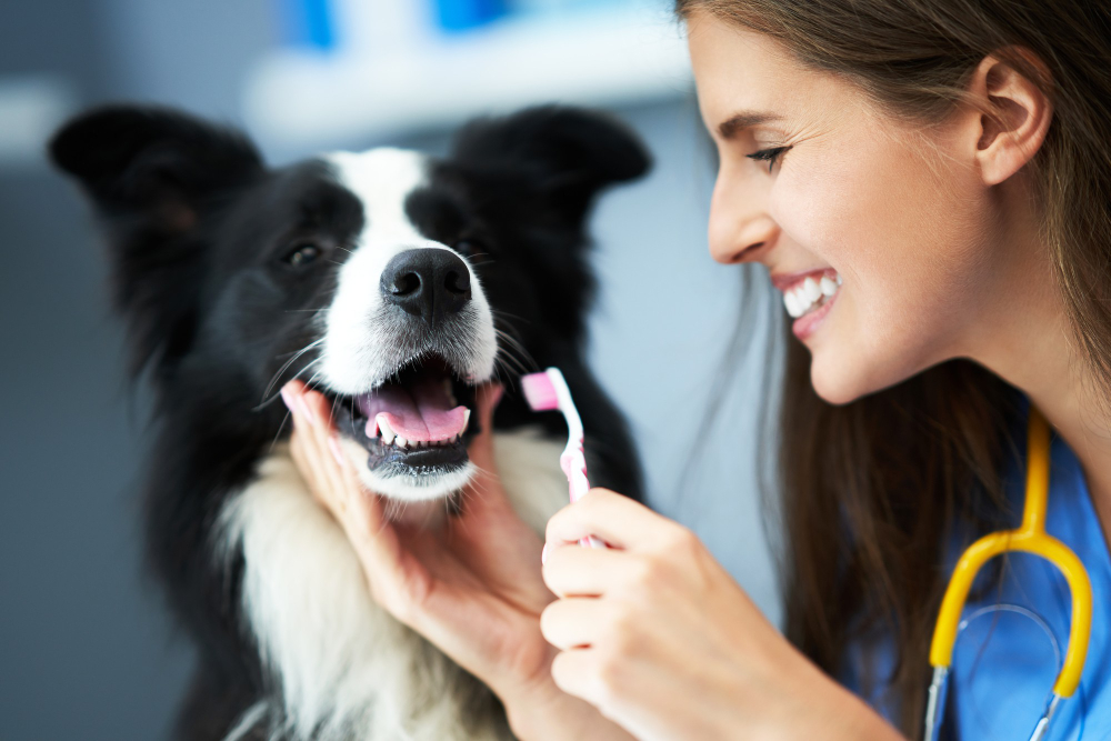 Dental Hygiene for Pets