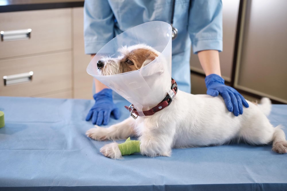 Emergency surgery