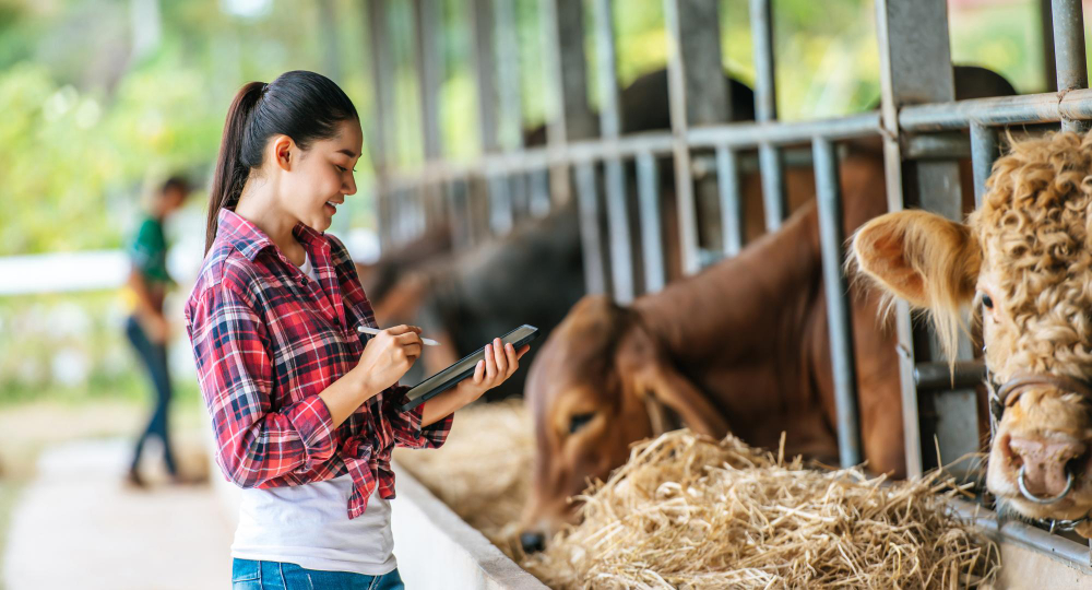 Feeding Guides by Breed: Nutritional Needs by Size and Health Risks