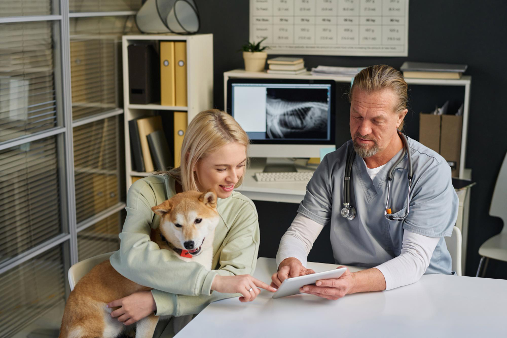 How Much Do Common Vet Treatments Cost in the UK?