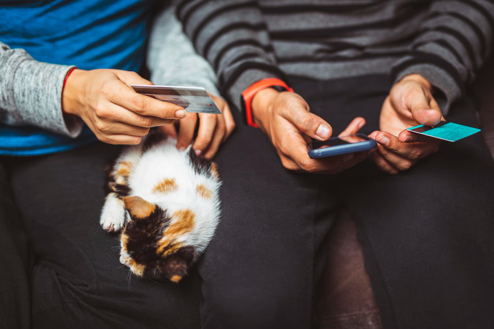 Payment plans available for pet